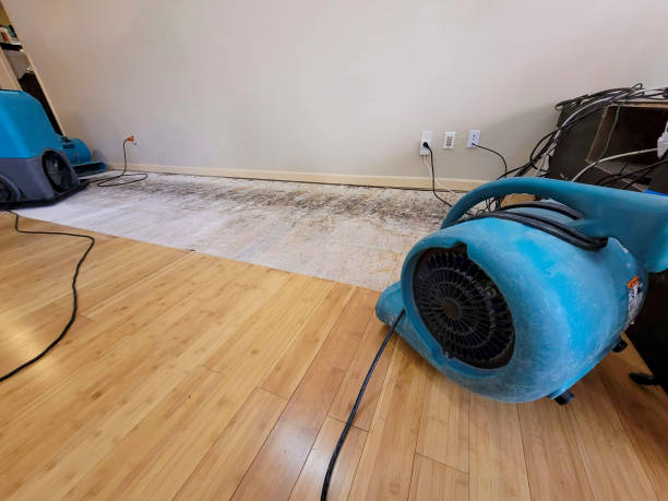 Professional Water Damage Repair technician working in Worcester, MA